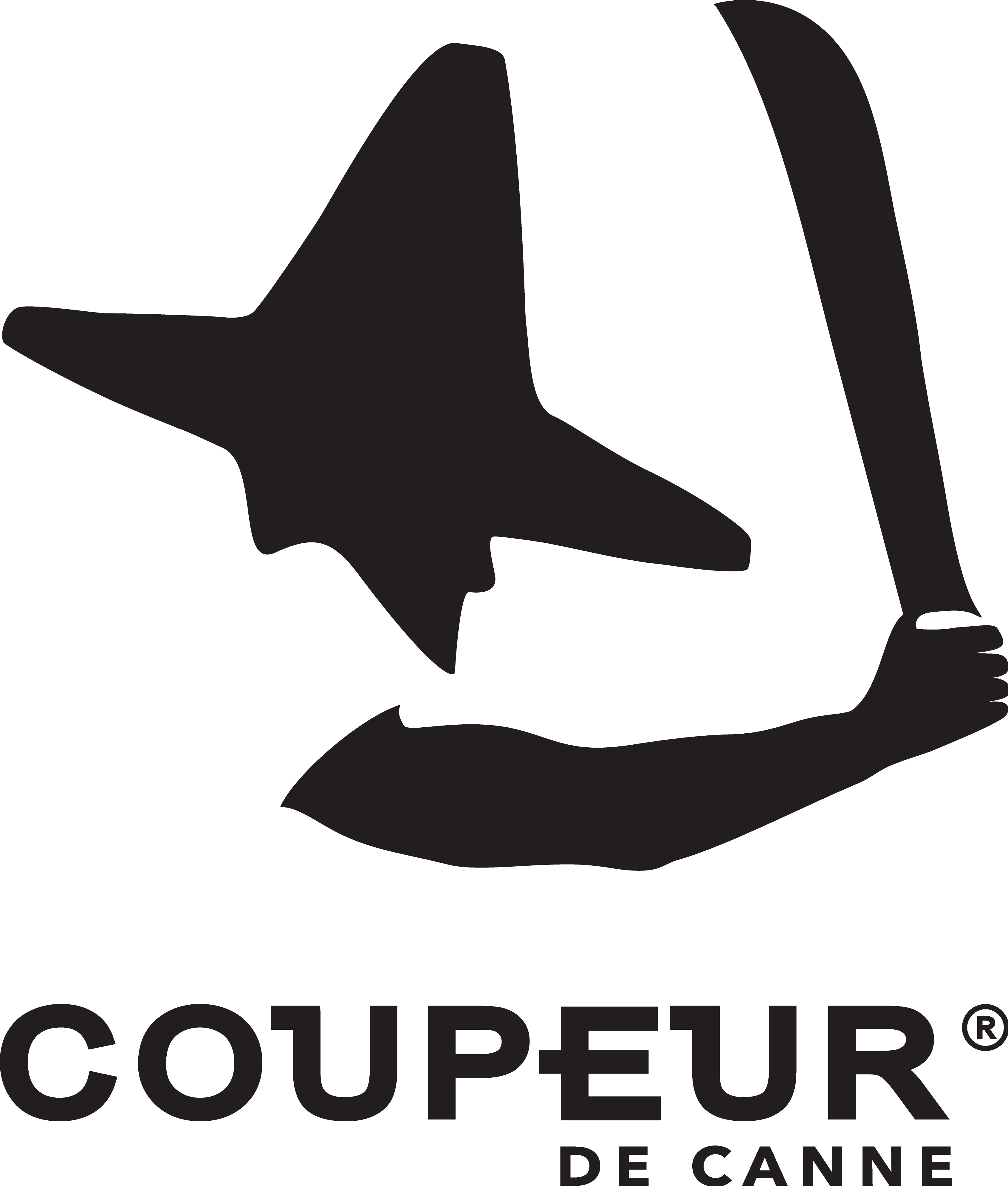 Cropped logo complet cdc 7fi2 2025 1.png