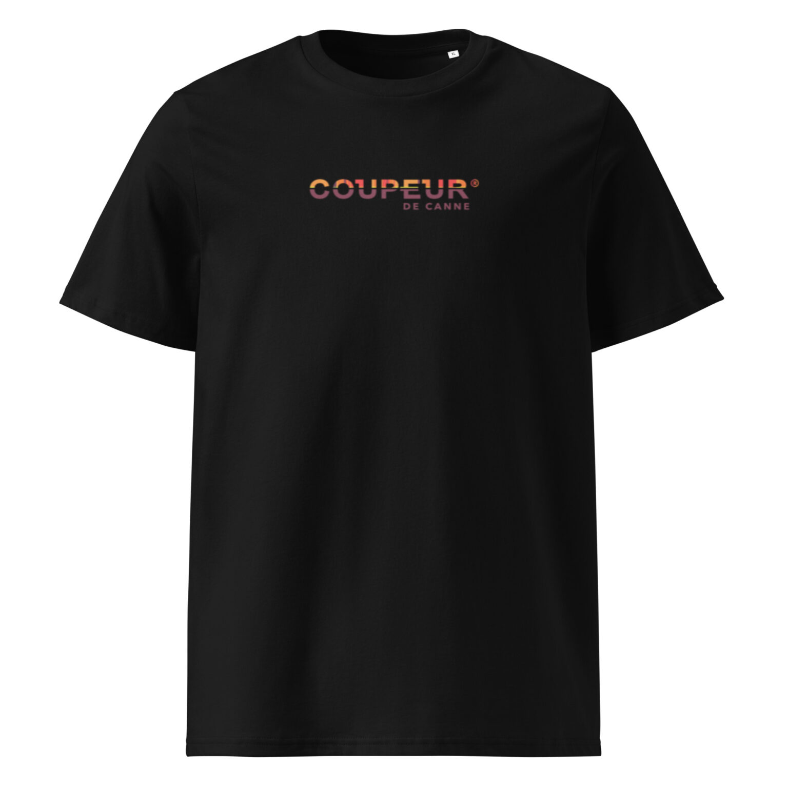 Unisex organic cotton t shirt black front 6850087b18b77.jpg